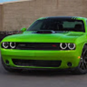 Meet your Posher, Ryder